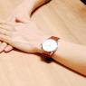 トリワ クオーツ ユニセックス 腕時計 FALKEN FAST103-CL010212 ホワイト / ブラウンの商品詳細画像
