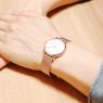 スカーゲン クオーツ レディース 腕時計 SKW2694 ホワイト/ピンクゴールドの商品詳細画像