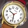 タイメックス イージーリーダー 40th クオーツ レディース 腕時計 TW2R40300 ホワイト 国内正規の商品詳細画像