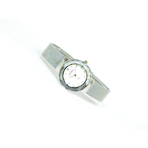 スカーゲン SKAGEN 腕時計 456SSS / レディース腕時計・アクセサリーの