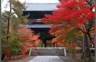 おいでやす小田学歴高校大学