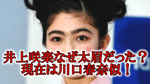 井上咲楽眉毛細く画像川口春奈