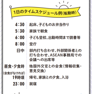 小野日子の大学wiki経歴