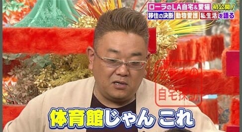 ローラ現在テレビ出ない理由