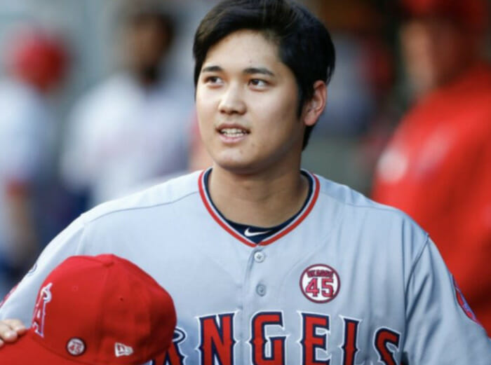 大谷翔平の両親の職業画像