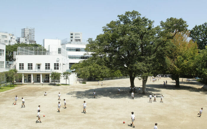 斉藤慶子の娘の大学と旦那