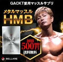 GACKT収入源あやしい年収