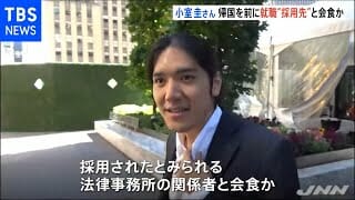 眞子様の貯金額と年収