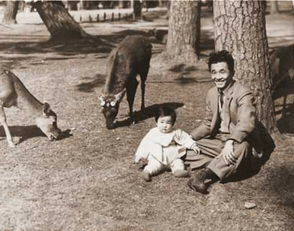 高市早苗の家族と旦那子供