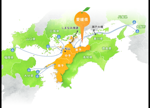 ヒコロヒーは愛媛のどこ出身