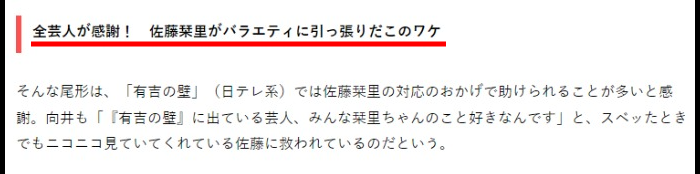 佐藤栞里の人気理由