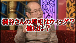 夜更かし桐谷さん増毛方法