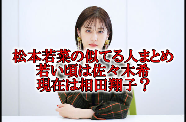 松本若菜の若い頃と似てる女優