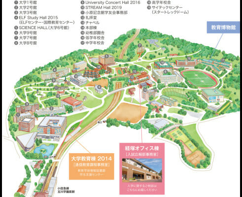 藤岡真威人の大学高校