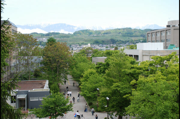 佐藤二朗の大学の同級生