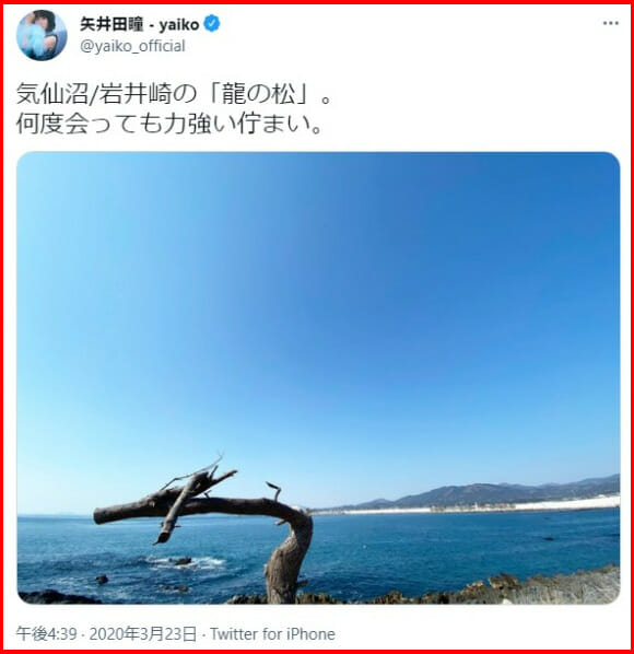 矢井田瞳の旦那と気仙沼