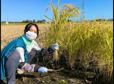 住吉美紀の旦那カフェ子供