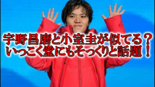 宇野昌磨と小室圭いっこく堂似てる