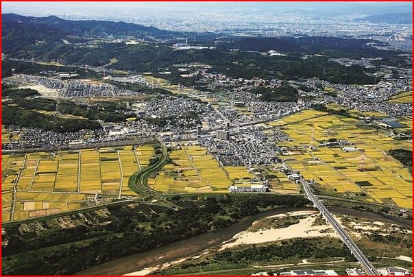 みちょぱの旦那と京田辺