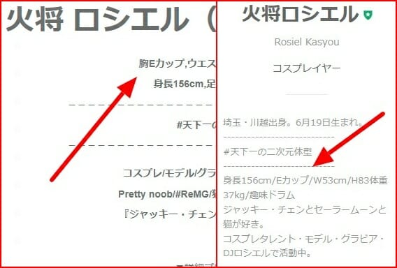 火将ロシエルのサイズと昔