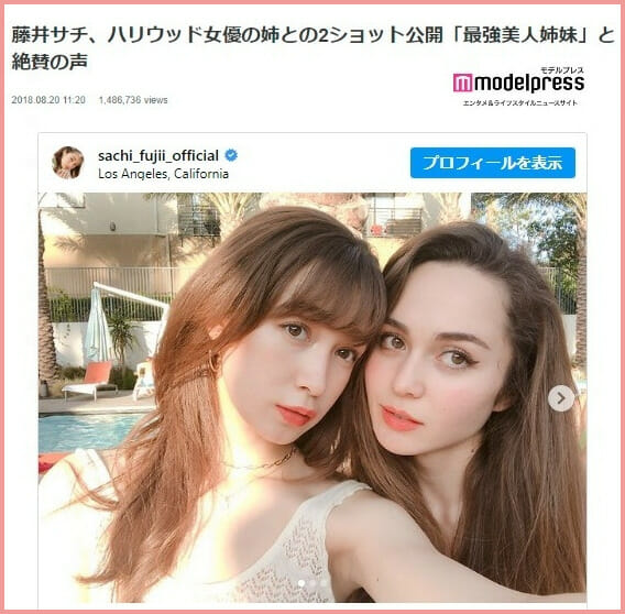 藤井サチ藤井リナ姉妹