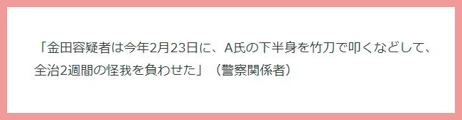 南野陽子と旦那の金田充史の離婚